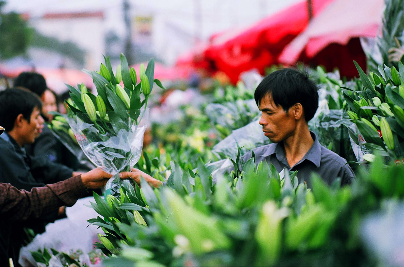 Chợ hoa Tết